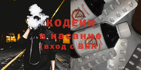 индика Балабаново