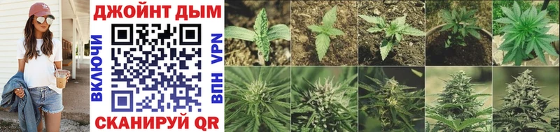 Конопля индика mega вход Маркс